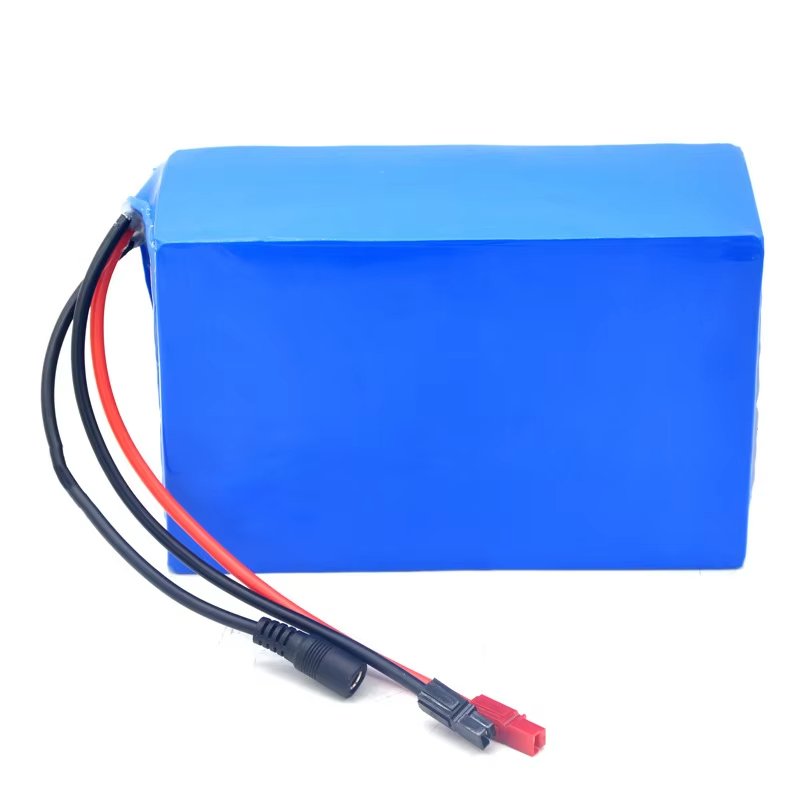 rechargeable 18650 21700 12v 24v 36v 48v 10ah 20ah 30ah 40ah lifepo4 lithium ion battery pack for 500w electric bicycles scooter