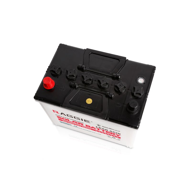RAGGIE 60a Dry Charged Lead Acid Battery 12v Car Battery