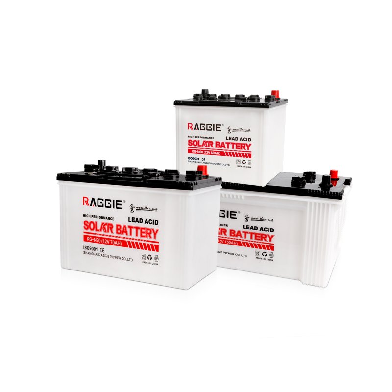 RAGGIE 60a Dry Charged Lead Acid Battery 12v Car Battery