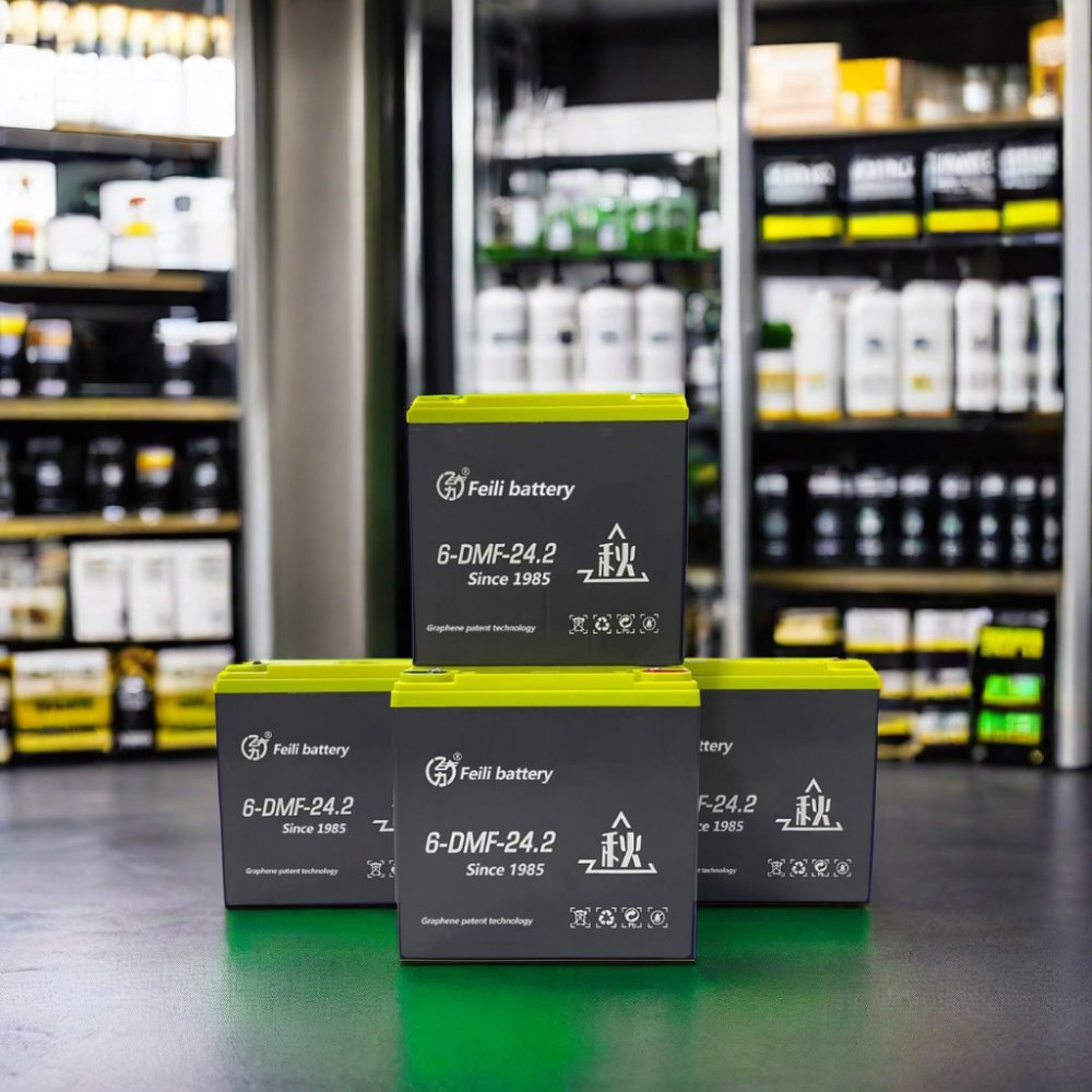 12V24ah/ 20ah 24V48V60V Rechargeable Lead Acid Battery for Electric Tricycles and Bikes Including Lighting Application Battery