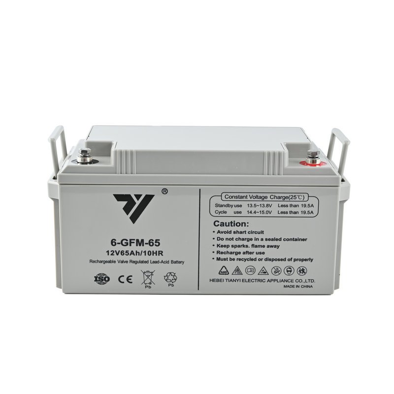 TIANYI UPS EPS Emergency System Fire Fighting Solar Energy Solar Power 12V 65AH 20HR Lead-Acid Battery Rechargeable battery