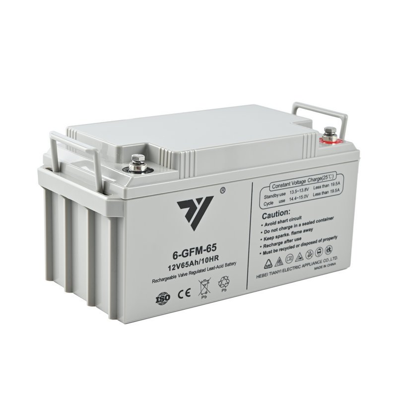 TIANYI UPS EPS Emergency System Fire Fighting Solar Energy Solar Power 12V 65AH 20HR Lead-Acid Battery Rechargeable battery