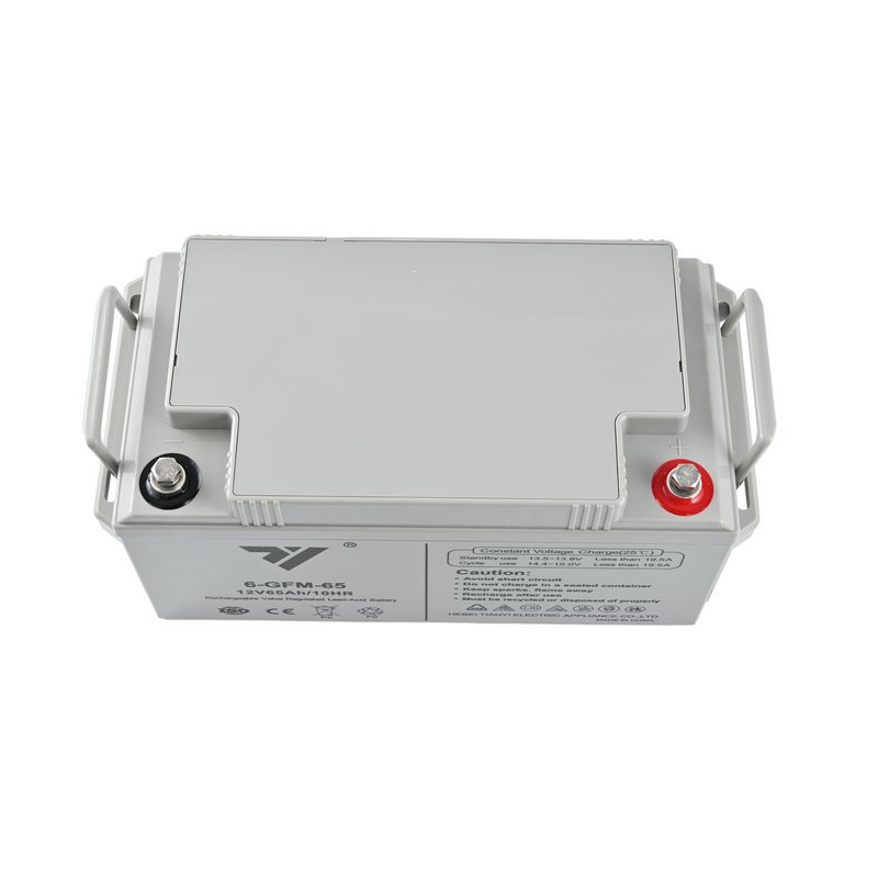 TIANYI UPS EPS Emergency System Fire Fighting Solar Energy Solar Power 12V 65AH 20HR Lead-Acid Battery Rechargeable battery