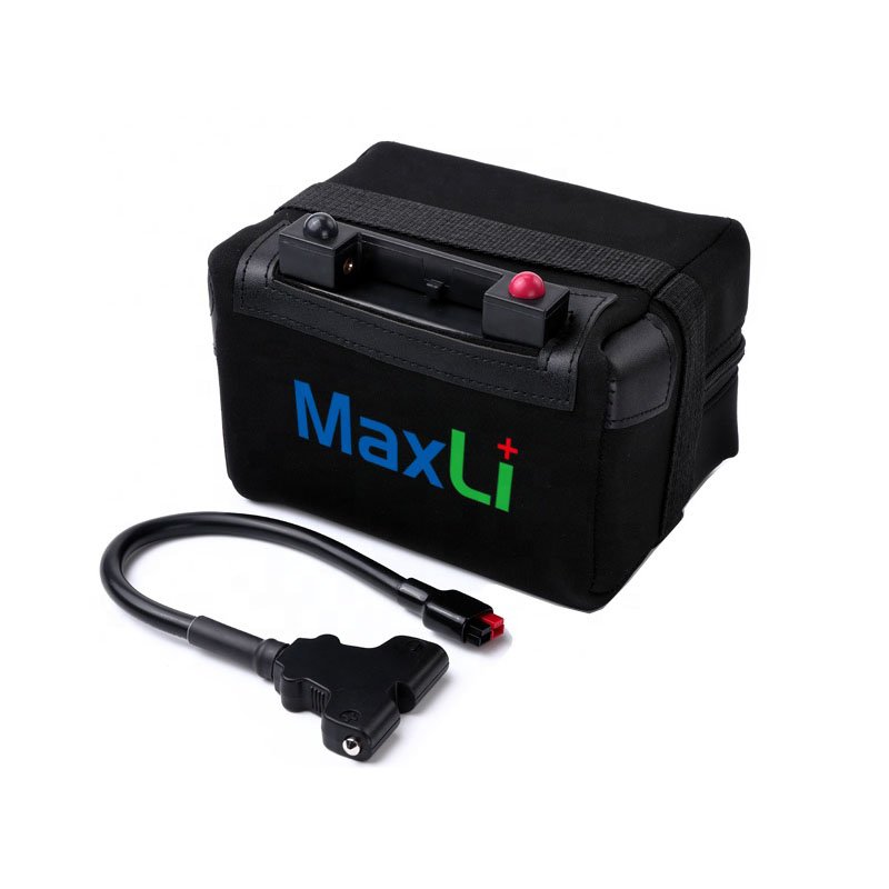 Electric Golf Cart Trolley Lithium ion Batteries 12V 18Ah 24Ah 100Ah Lead Acid Batteries Replacement Lifepo4 Battery with BMS