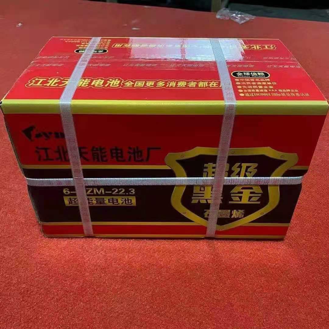 12V 20AH Lead Acid Battery for UPS Systems and Solar Power Applications