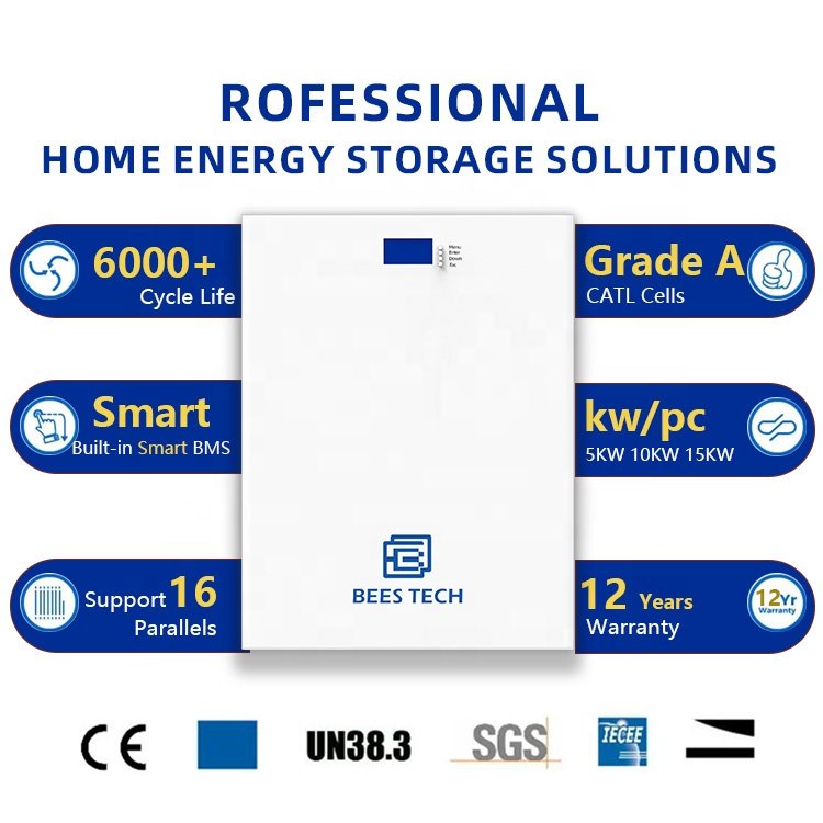 10 years warranty 5Kw 10Kwh 48V Lifepo4 batteries Powerwall Solar Lithium Battery Home Solar Energy Storage Lifepo4 Battery