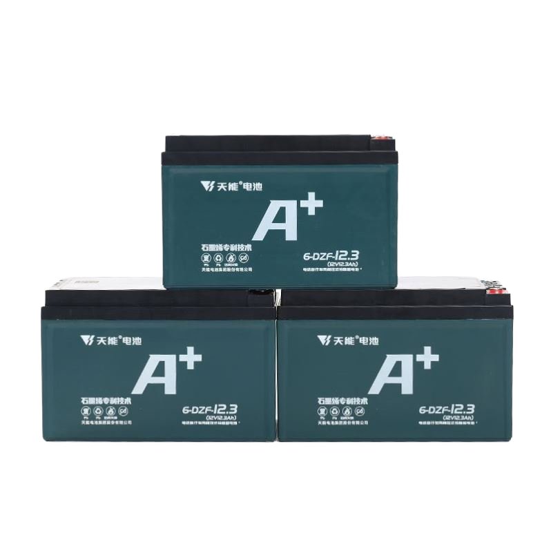 Electric Bike Bicycle with 48v 12.3ah Lead Acid Battery Free Maintenance for Golf Carts 12V Cycle E Bike Battery