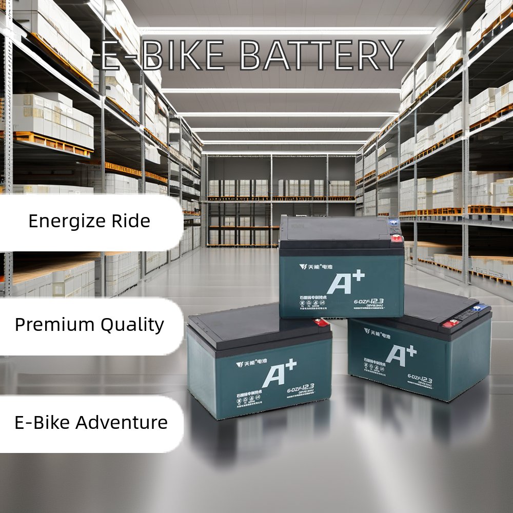 Electric Bike Bicycle with 48v 12.3ah Lead Acid Battery Free Maintenance for Golf Carts 12V Cycle E Bike Battery
