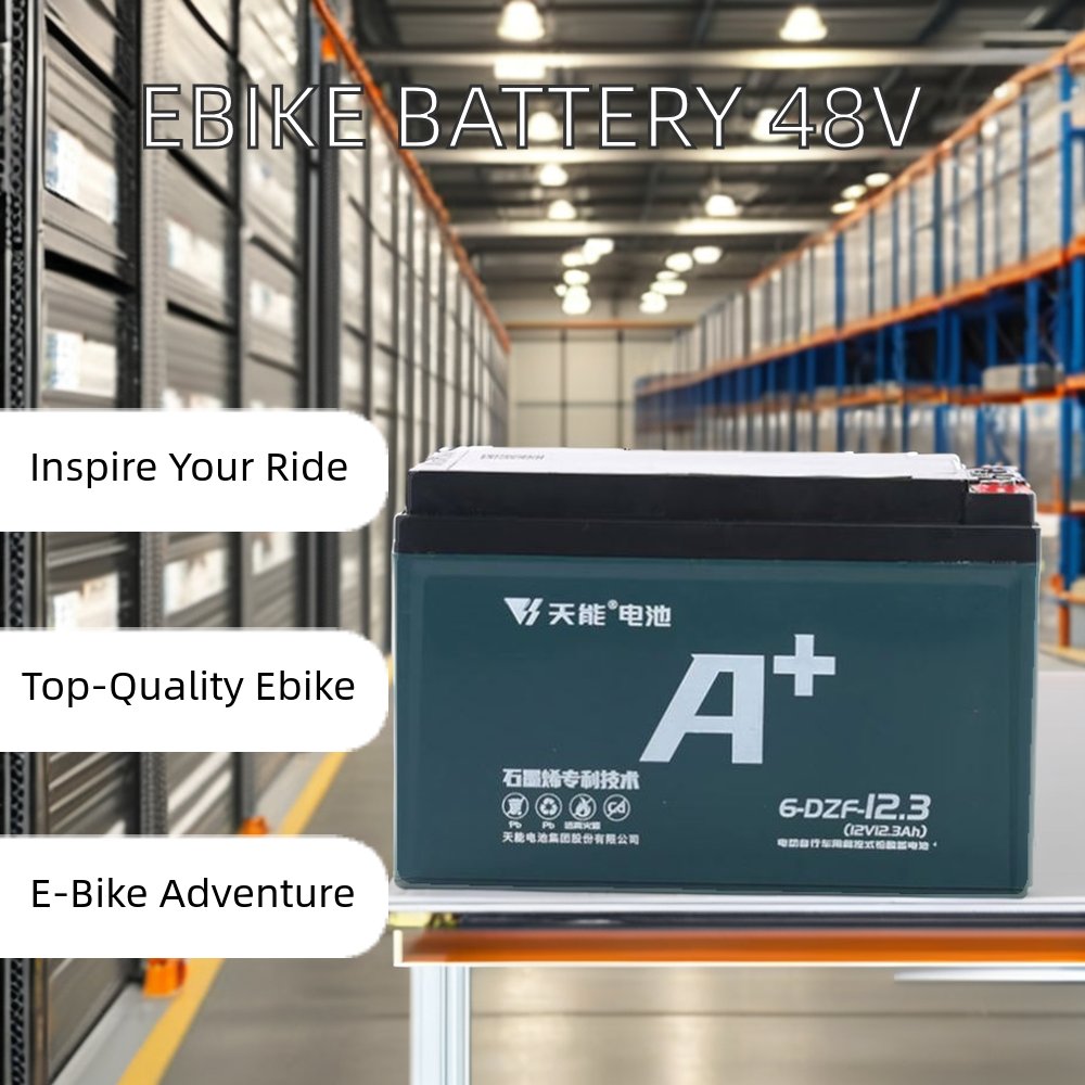 Electric Bike Bicycle with 48v 12.3ah Lead Acid Battery Free Maintenance for Golf Carts 12V Cycle E Bike Battery