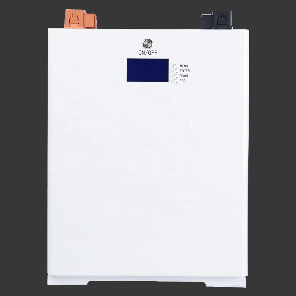25.6v 100ah 2.5kwh Lithium Ion Battery 48v 51.2V Lifepo4 Lithium Batteries For Home Solar Storage Battery Packs