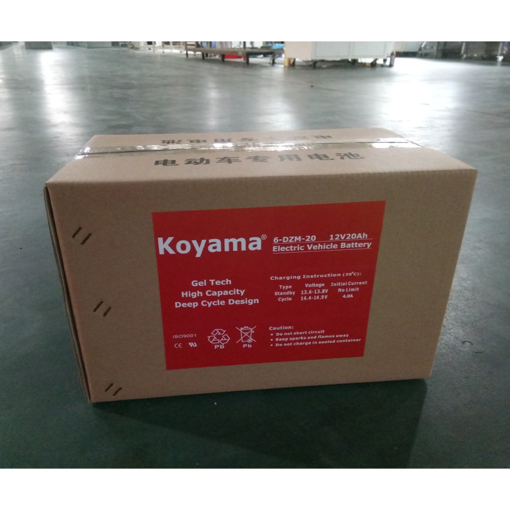Deep Cycle 12V 20Ah 6-DZM-20 Rechargeable Maintenance Free Sealed AGM GEL Lead Acid Batteries for Motorcycle/electric bike/golf