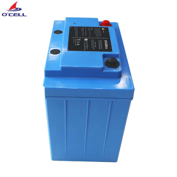 China OCELL Lithium Iron Phosphate/LiFePO4 Battery 24V 50Ah for Brunswick/Garmin/Haswing Yacht/Boat/Trolling Motor