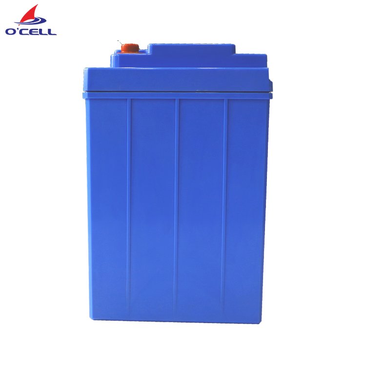 China OCELL Lithium Iron Phosphate/LiFePO4 Battery 24V 50Ah for Brunswick/Garmin/Haswing Yacht/Boat/Trolling Motor