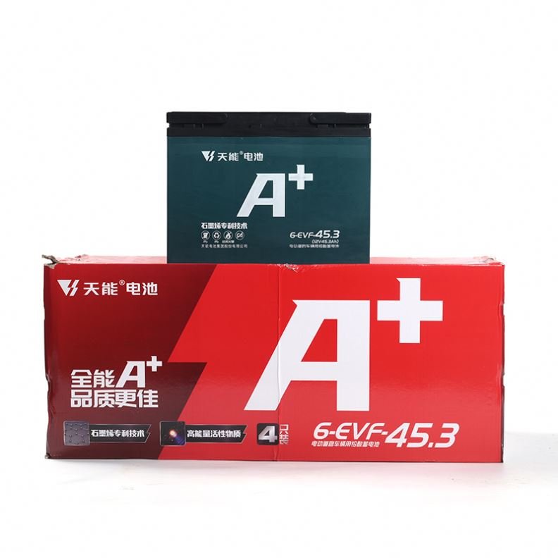 48v Ebike Battery Electric Bicycle Battery 36V 48V 45.3Ah Ebike Lead Acid Battery
