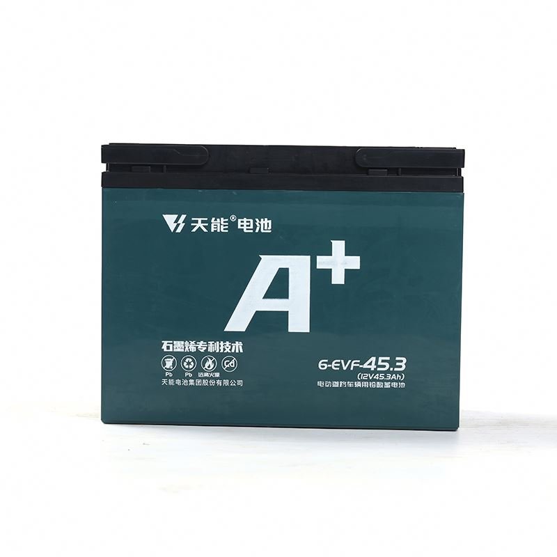 48v Ebike Battery Electric Bicycle Battery 36V 48V 45.3Ah Ebike Lead Acid Battery