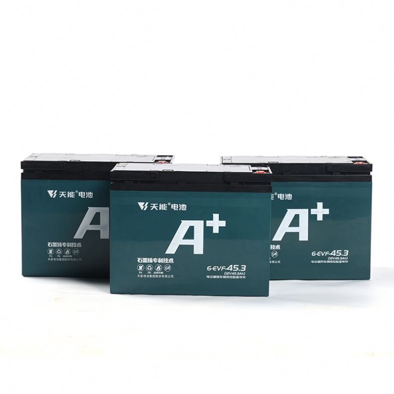 48v Ebike Battery Electric Bicycle Battery 36V 48V 45.3Ah Ebike Lead Acid Battery