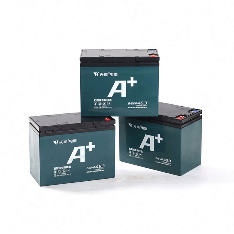 Oem Odm 48v 45.3ah Ebike Lead Acid Batteries Electric Bicycle Battery