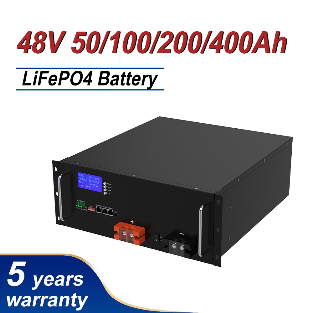 51.2V 100Ah LiFePO4 Battery Pack Solar Lithium Power Supply 48V Battery with BMS For Home Solar System