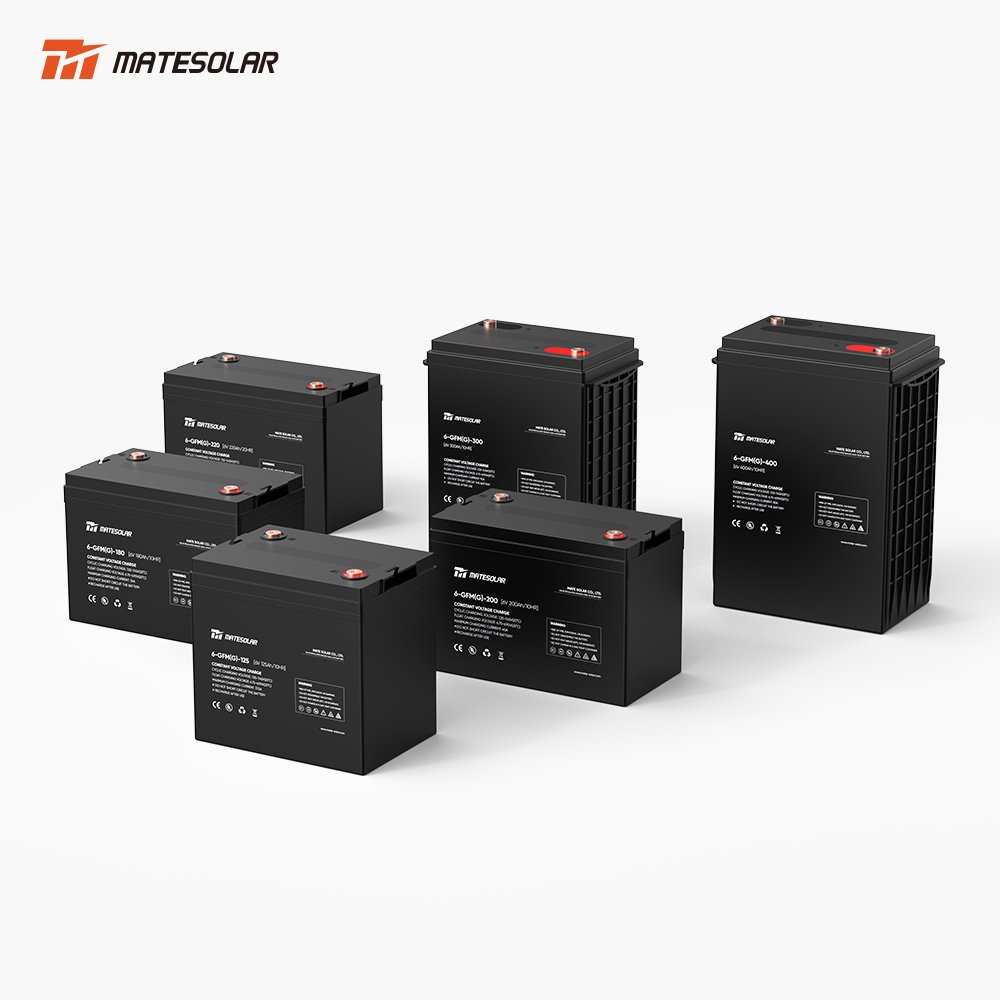 Mate Lead Acid Battery 6V 400Ah 300Ah 220Ah 6V200Ah Sealed Lead Acid Battery