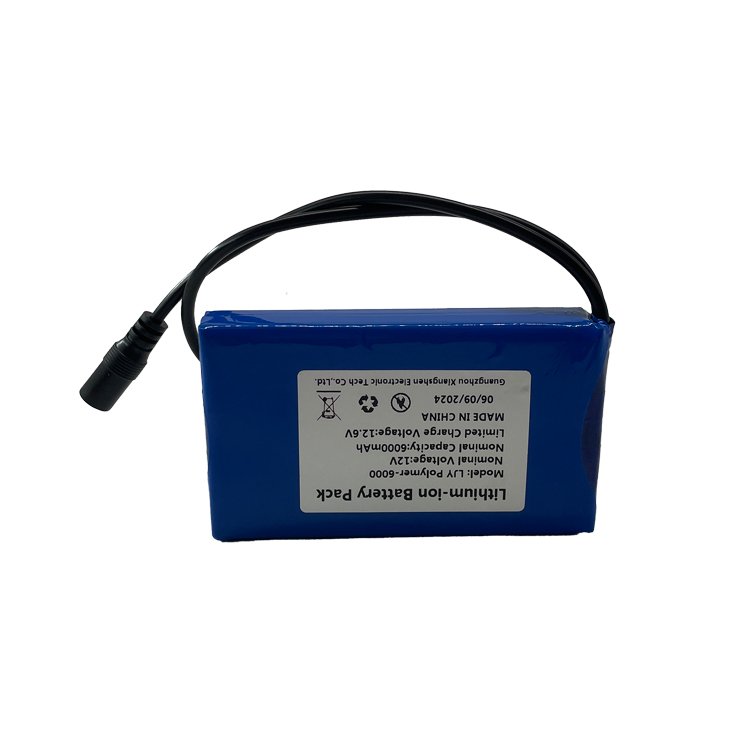 12V 6000mAh High Quality Renewable Energy Batteries Home Energy Storage Lithium Ion Battery Pack
