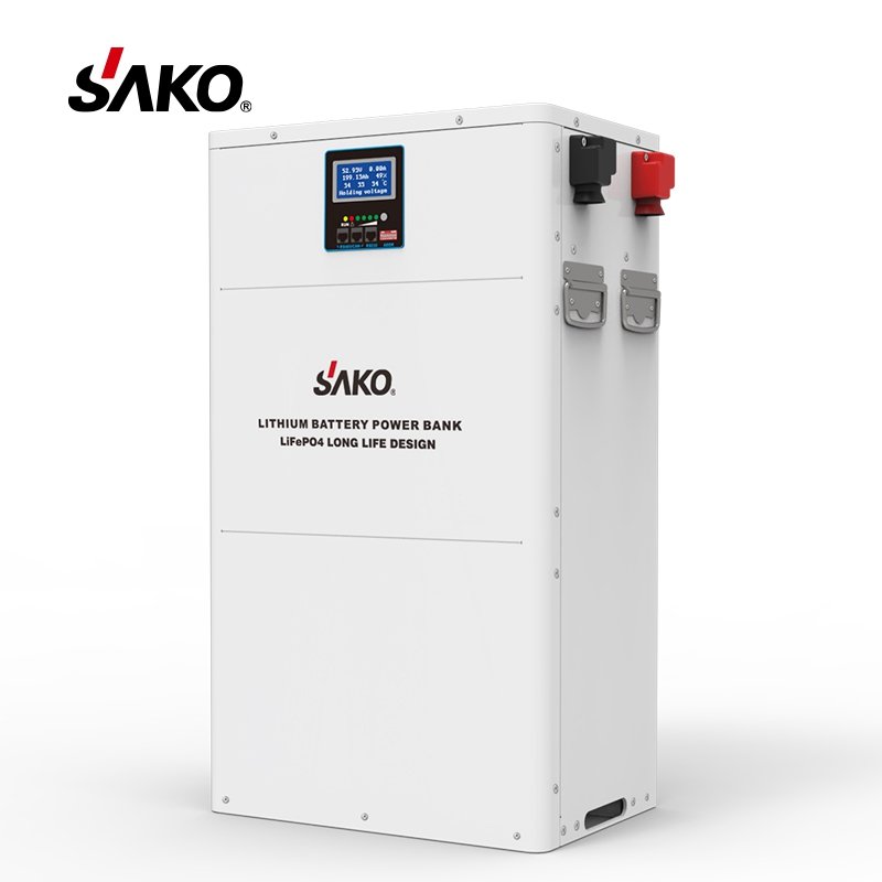 Sako Home Power 48V 200Ah Lithium Ion Battery 10Kwh LiFePo4 Batteries Smart BMS Solar System 51.2V 100Ah Energy Storage Battery