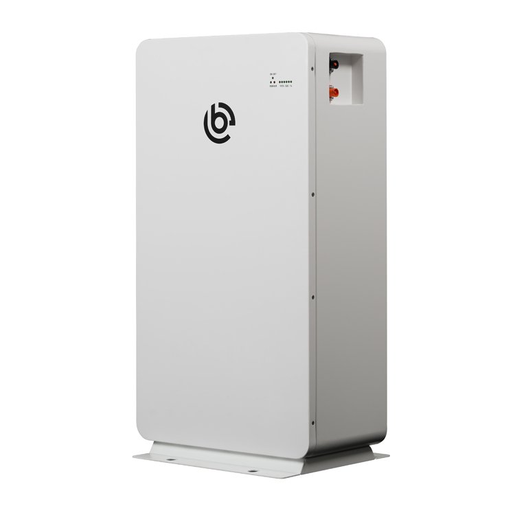 Lifepo4 10kwh Battery Powerwall 10kwh Lithium Ion Batteries 48v 51.2v 200ah Lifepo4 Battery Solar Energy Storage System 10kwh