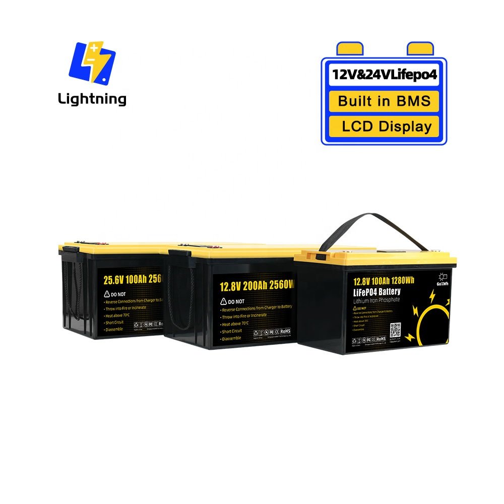 GoKWh Deep Cycle LCD 100Ah 200Ah 12V 24V Lithium ion Lifepo4 Batteries Pack for Solar Home Energy Storage