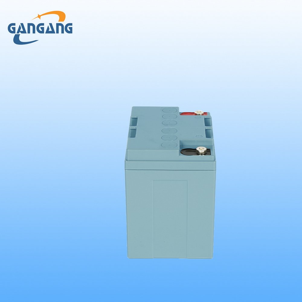 12V 24Ah Maintenance Free Deep Cycle Rechargeable Lead Acid Batteries Energy Storage Gel Battery