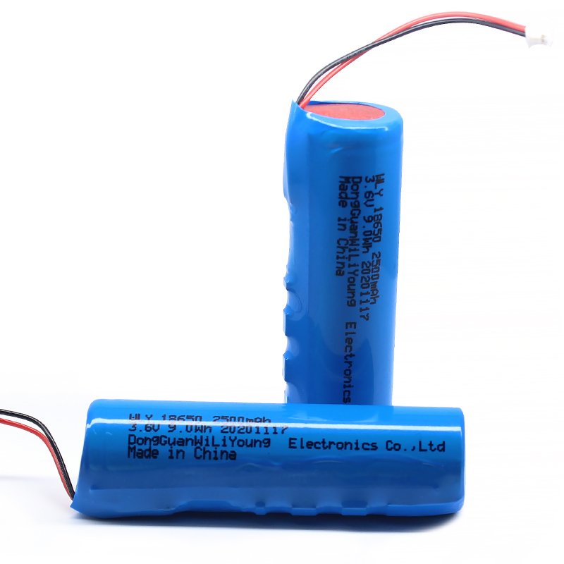 Customized 3.6V 18650 2500mah 9.0Wh lithium ion battery with protection board wires and connector