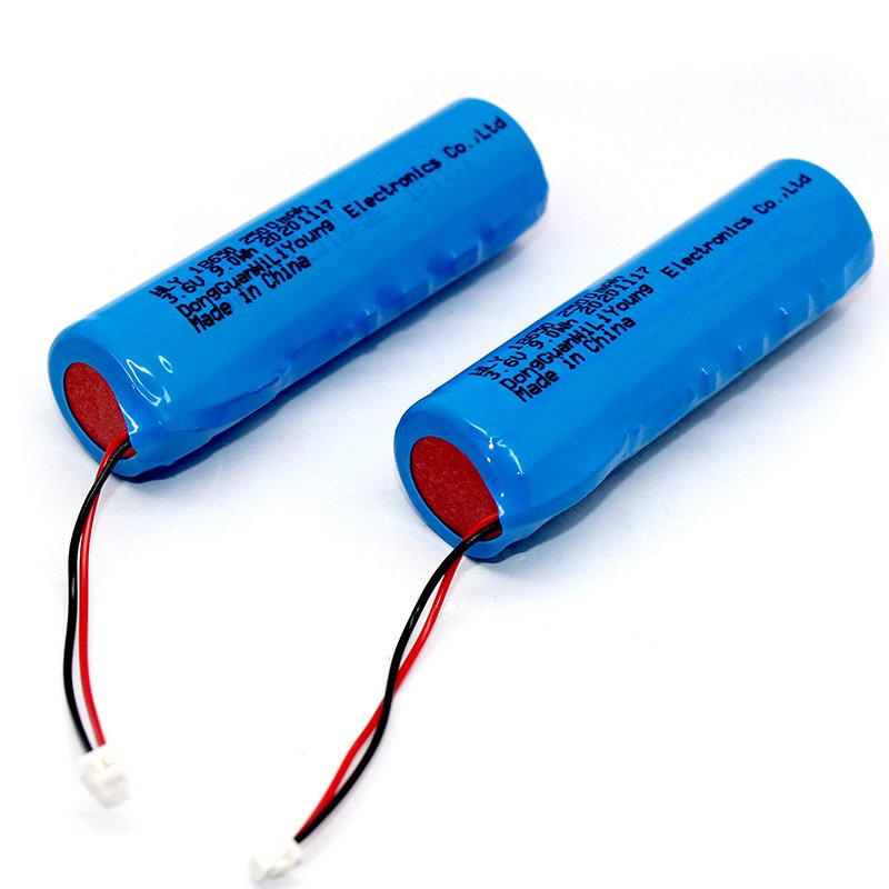 Customized 3.6V 18650 2500mah 9.0Wh lithium ion battery with protection board wires and connector