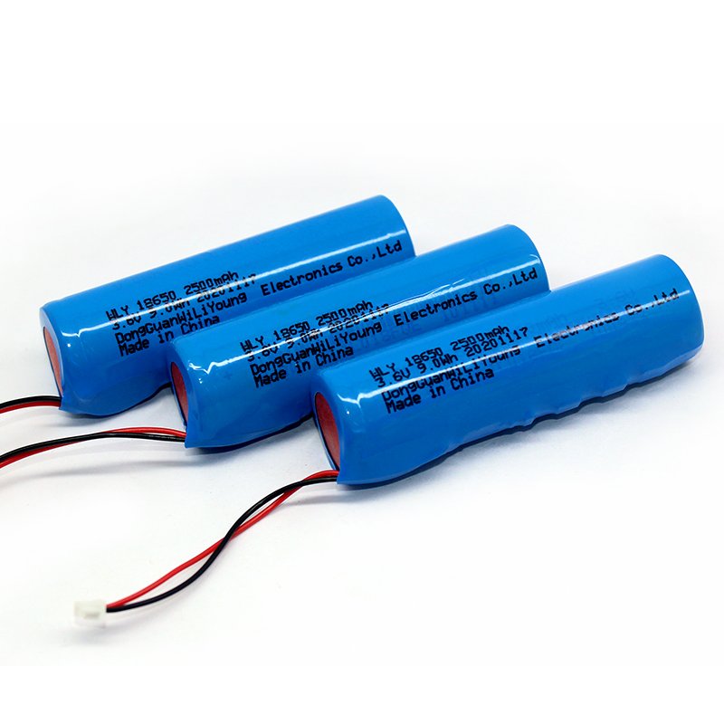 Customized 3.6V 18650 2500mah 9.0Wh lithium ion battery with protection board wires and connector