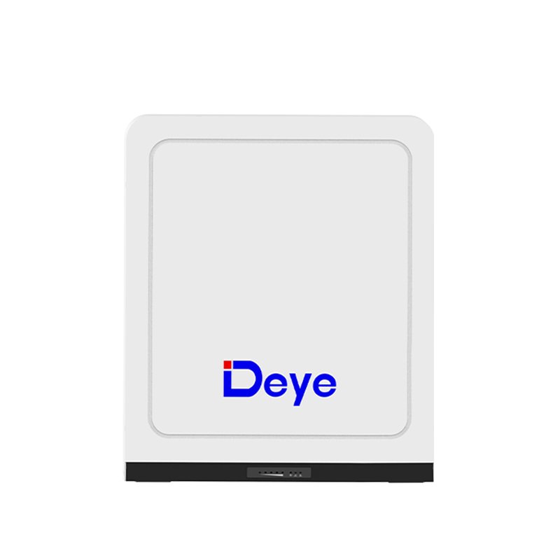 Deye RW-L2.5 Low Voltage 25.6V 100Ah 2.56kWh LiFePO4 Lithium ion Batteries