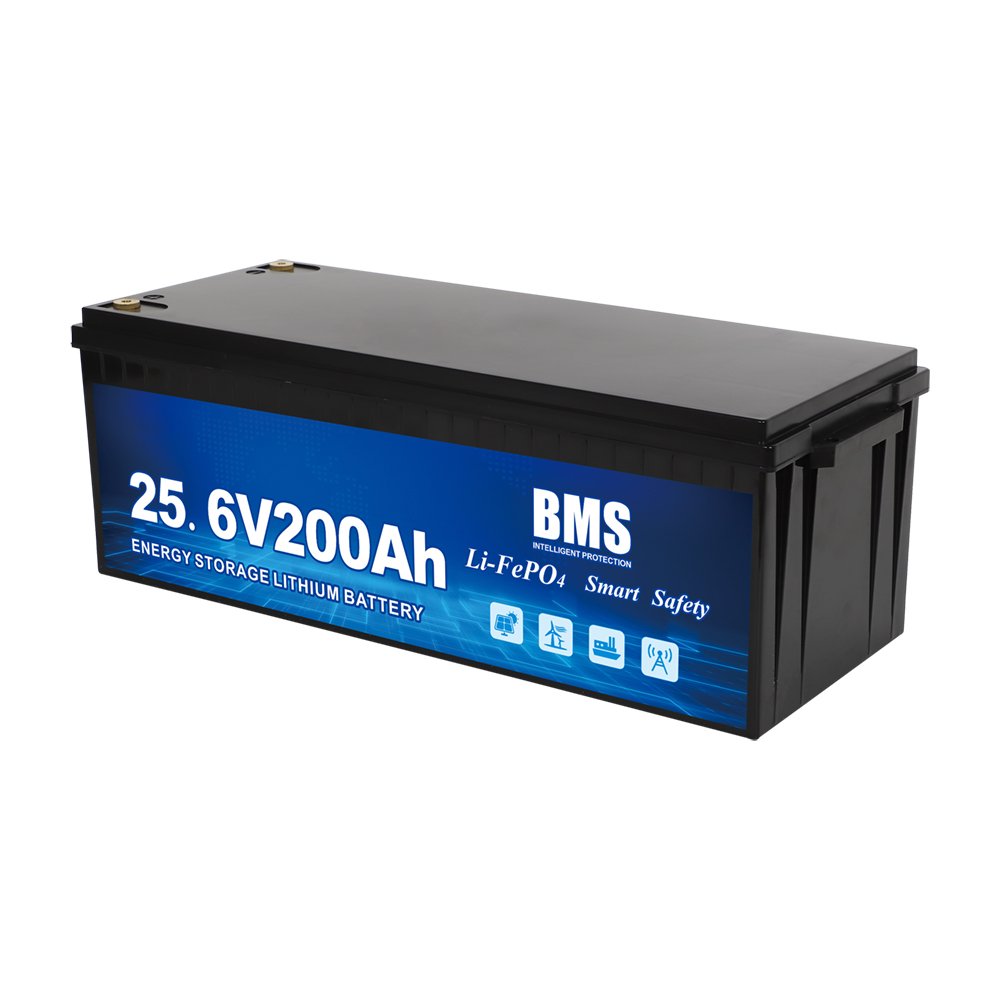 12v 24v 100ah lifepo4 battery pack bms lithium ion batteries 12v 200ah solar battery