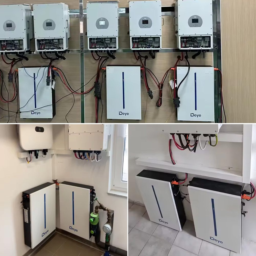 DEYE lithium battery LiFePO4 battery 48v 51.2v 120ah 6kwh Powerwall for Solar storage system
