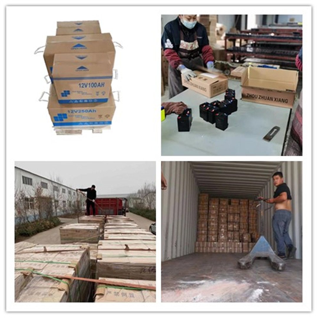 India market hot sale High quality Electric bike battery 6-DZM-20 Lead-acid batteries 12V20AH