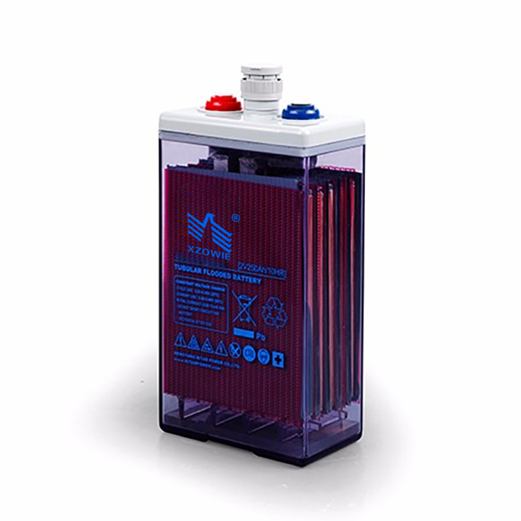 Made in China High Cycle Discharge Recovery Strong OPzS 6V 200ah Tubular Colloidal Solar Lead Acid Battery for Harsh Environment
