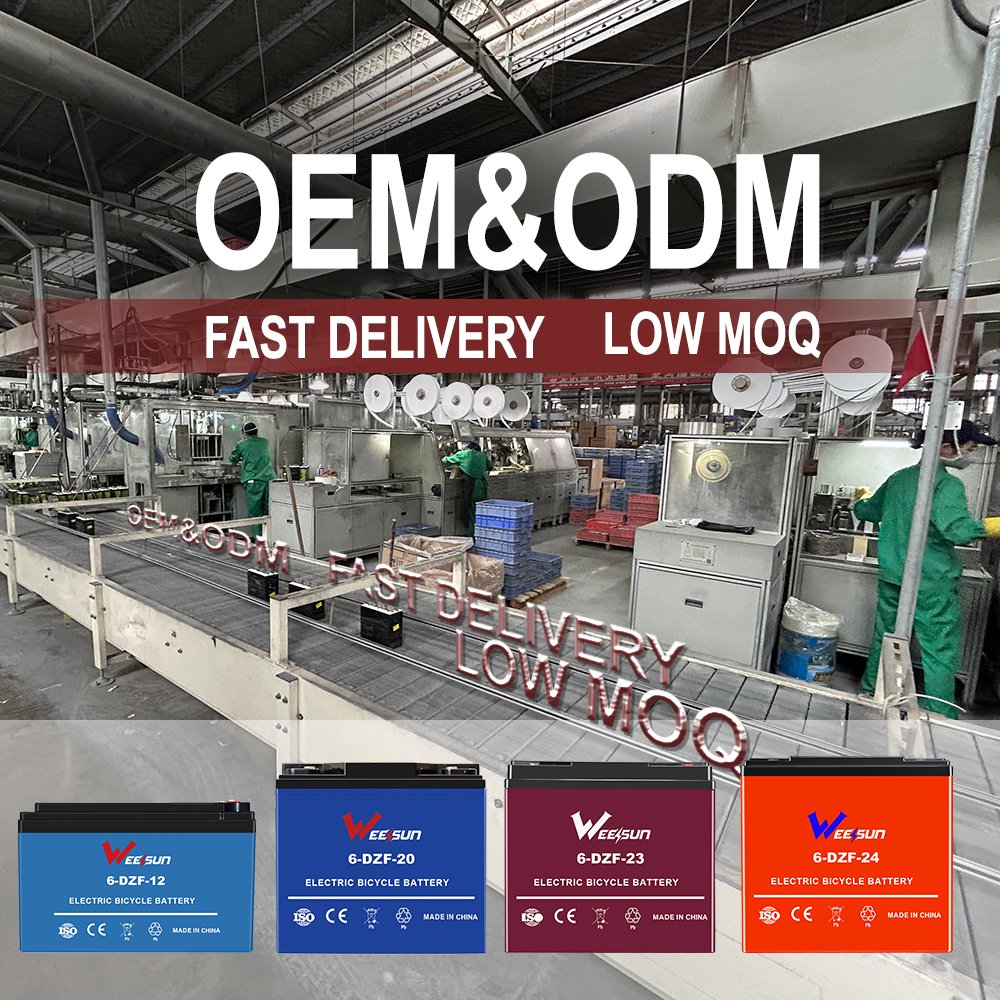 China factory sell 12V 36V 48V 60V 72V 12ah 13ah 14ah e-bike electric bike scooter vehicle lead acid battery 6-DZM-12 battery