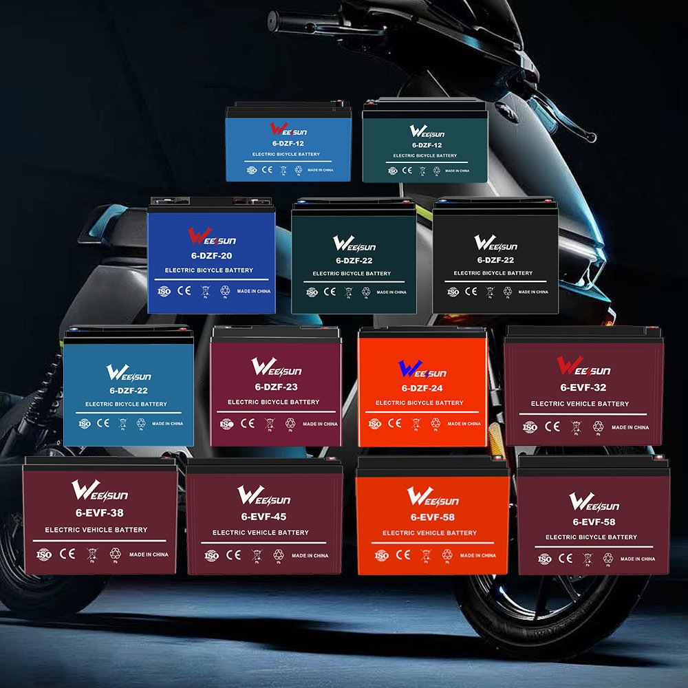 China factory sell 12V 36V 48V 60V 72V 12ah 13ah 14ah e-bike electric bike scooter vehicle lead acid battery 6-DZM-12 battery
