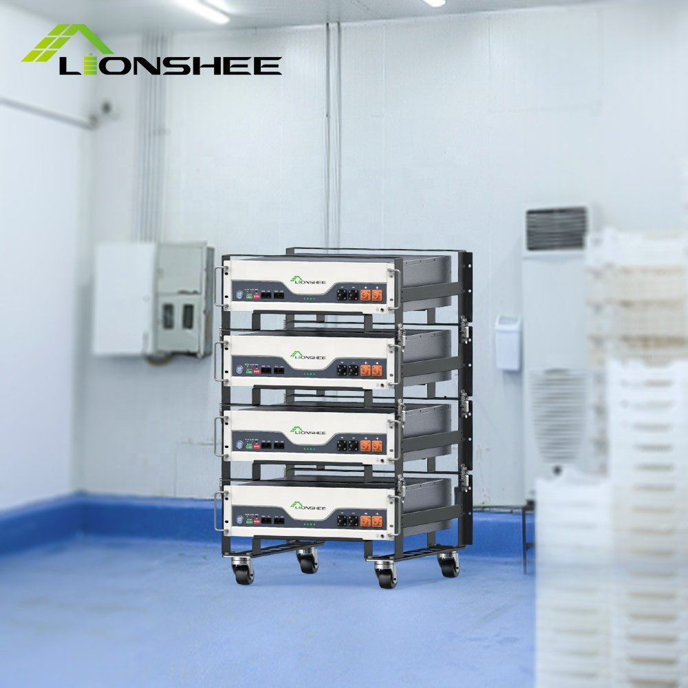 Hot Sale Solar Battery Home Energy Storage Lifepo4 100ah Lithium Ion Battery Pack