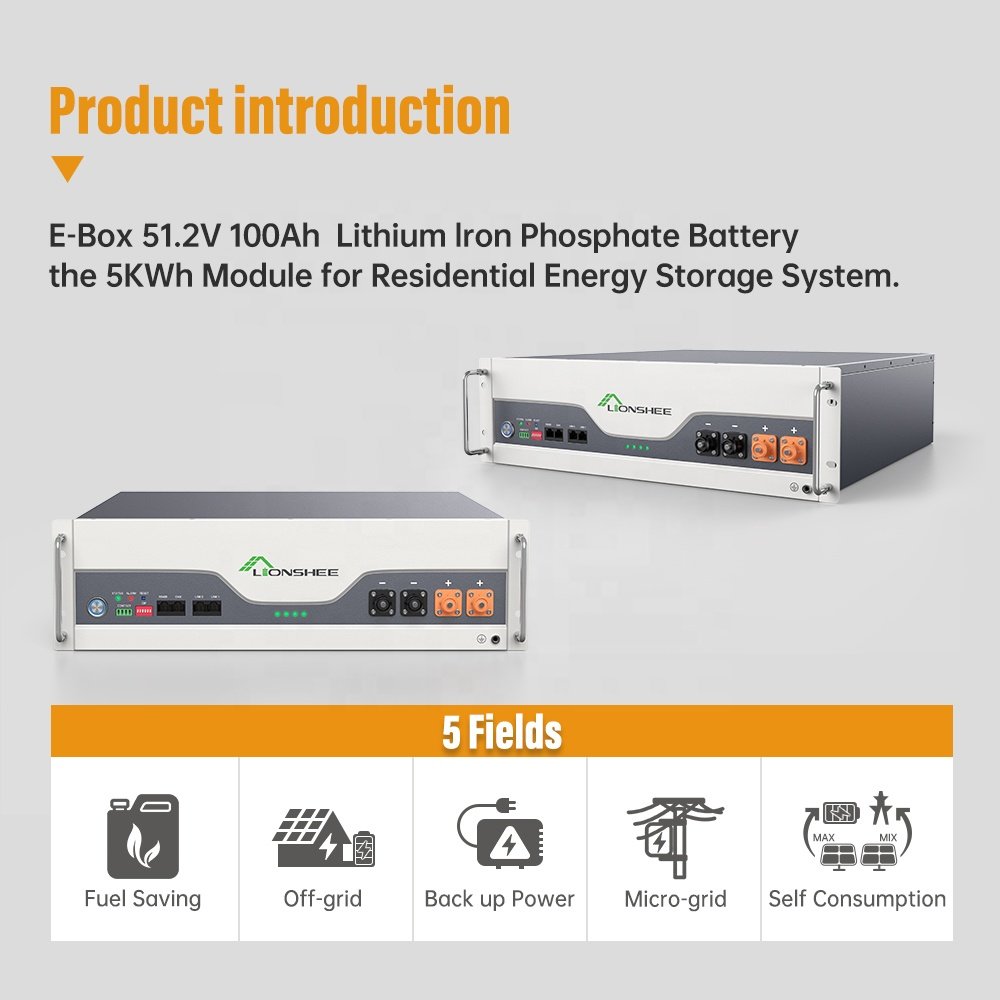 Hot Sale Solar Battery Home Energy Storage Lifepo4 100ah Lithium Ion Battery Pack