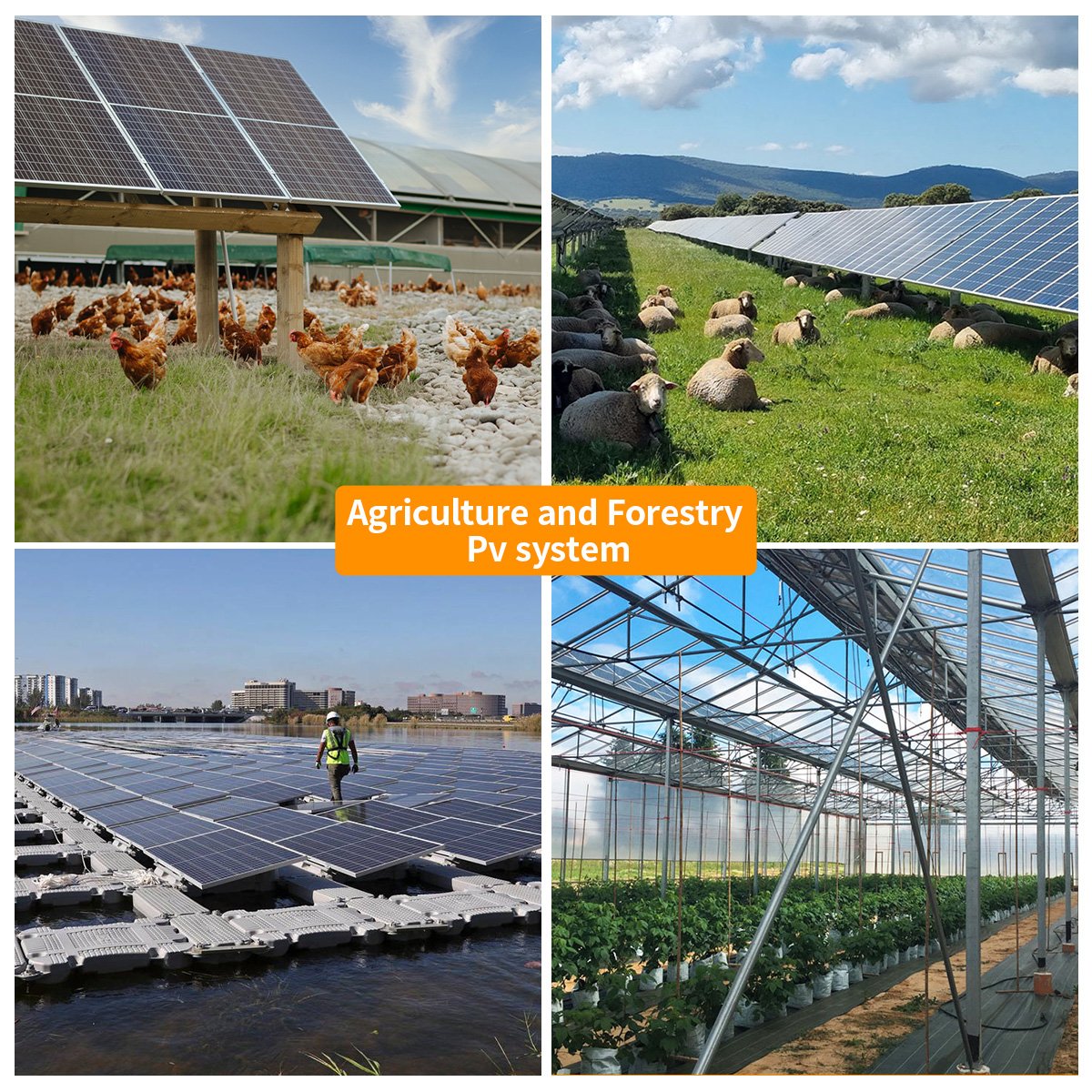 Reasonable Price Energy Solar Storage Battery Jinko Longi Trina Photovoltaic Panels For The Whole Solar Ssystem