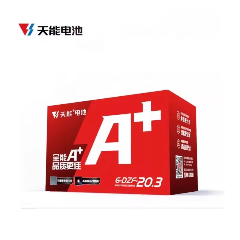 Chinese Wholesaler 48V 20AH Lead Acid Battery Large Capacity for Electric Vehicle