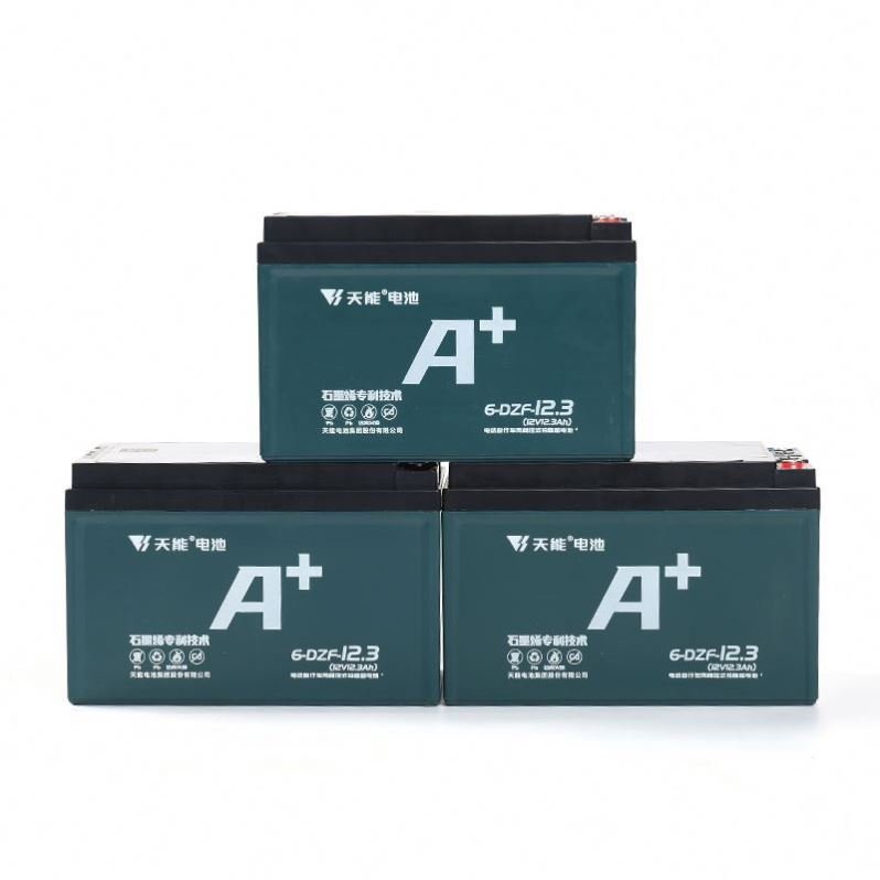 Electric Bike Bicycle Lead Acid Ebike 48v 12.3ah Battery Cycle E Bike Battery For Bike