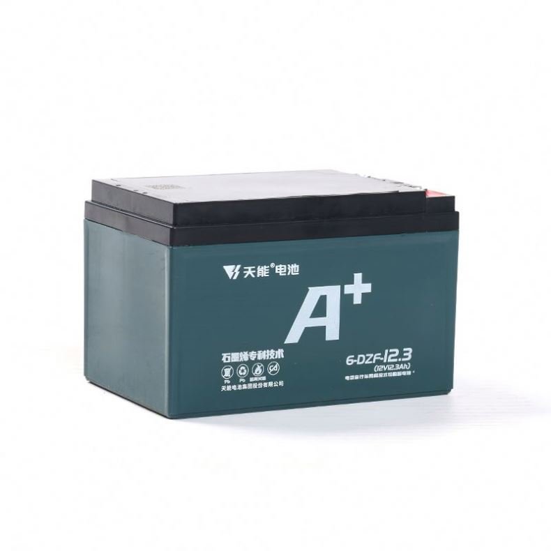 Electric Bike Bicycle Lead Acid Ebike 48v 12.3ah Battery Cycle E Bike Battery For Bike