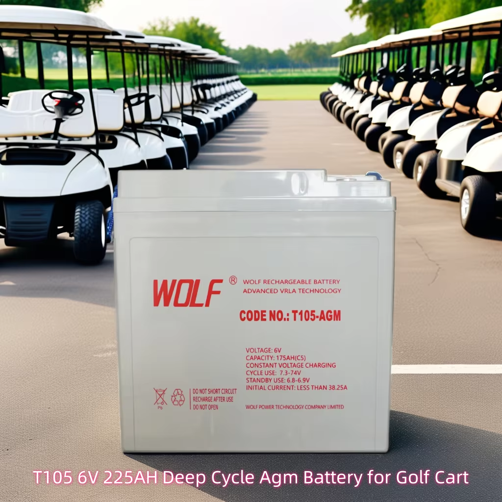 Free Logo Design Deep Cycle Maintenance Free 6v 225Ah T105 Agm Lead Acid Battery for Golf Cart