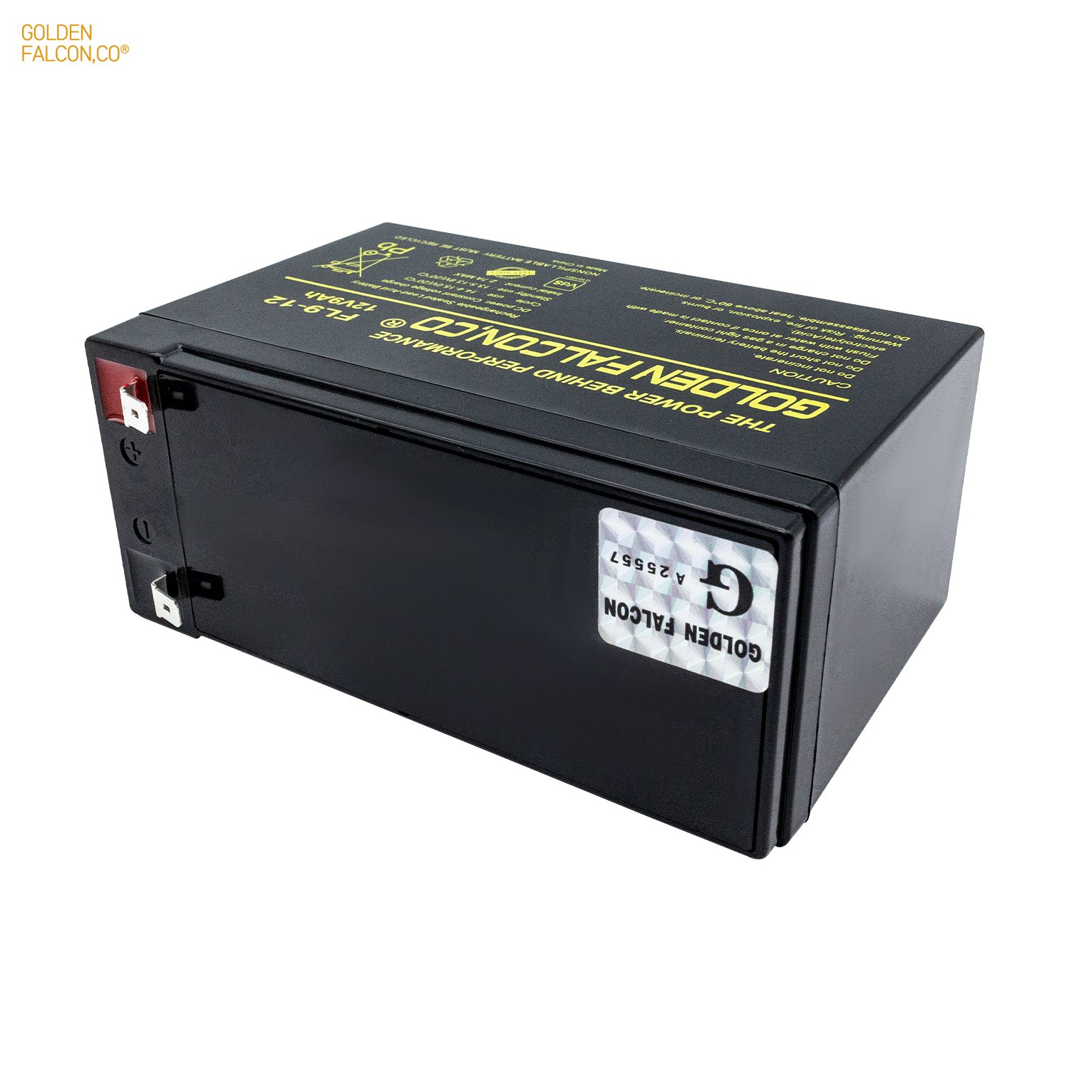 Long Life Rechargeable sealed lead acid battery 12V 9Ah Deep cycle battery for Home Appliances Ups