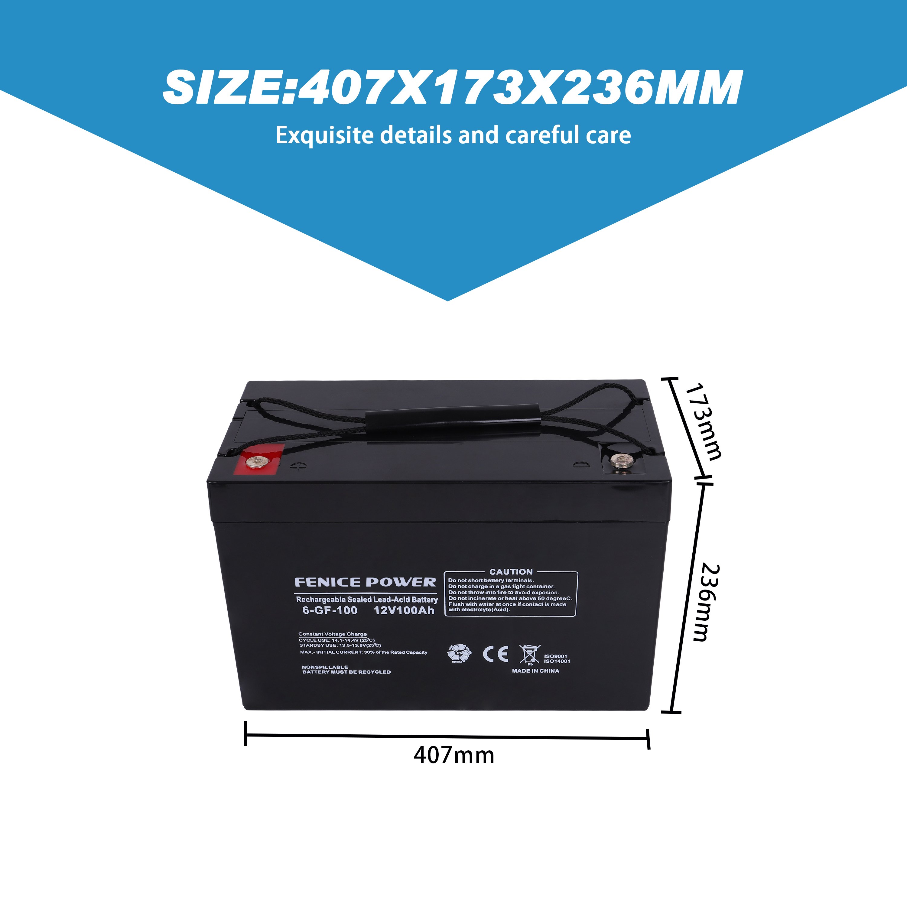 Fenice Power VRLA BATTERY NP SERIES Deep Cycle Sealed AGM Lead Acid Battery 12V 100AH for alarm system