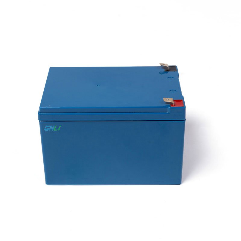 Deep Cycle 12V 12Ah Rechargeable Lithium Ion (Lifepo4) Battery 6Ah 8Ah 9Ah BMS Lead Acid Battery Replacement