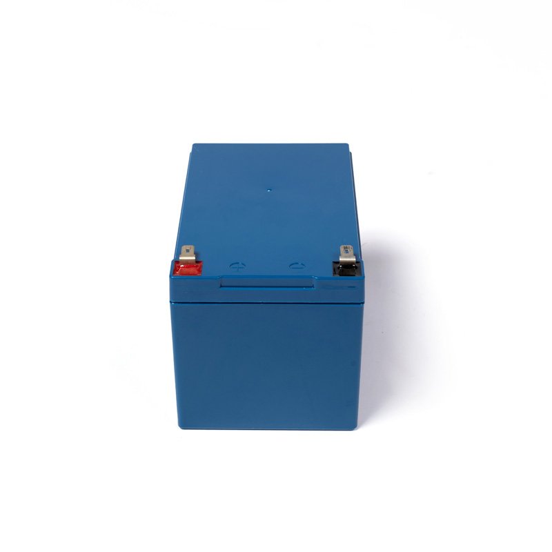 Deep Cycle 12V 12Ah Rechargeable Lithium Ion (Lifepo4) Battery 6Ah 8Ah 9Ah BMS Lead Acid Battery Replacement