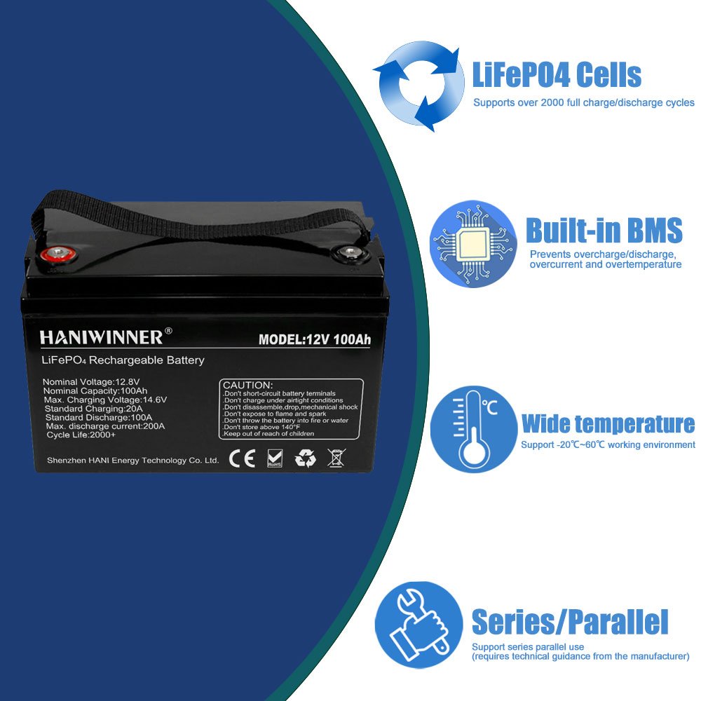 Custom Deep Cycle Lithium Iron Phosphate Battery 300Ah 150Ah 200Ah 100Ah 24V 12V Lifepo4 Lithium ion Battery for Solar System